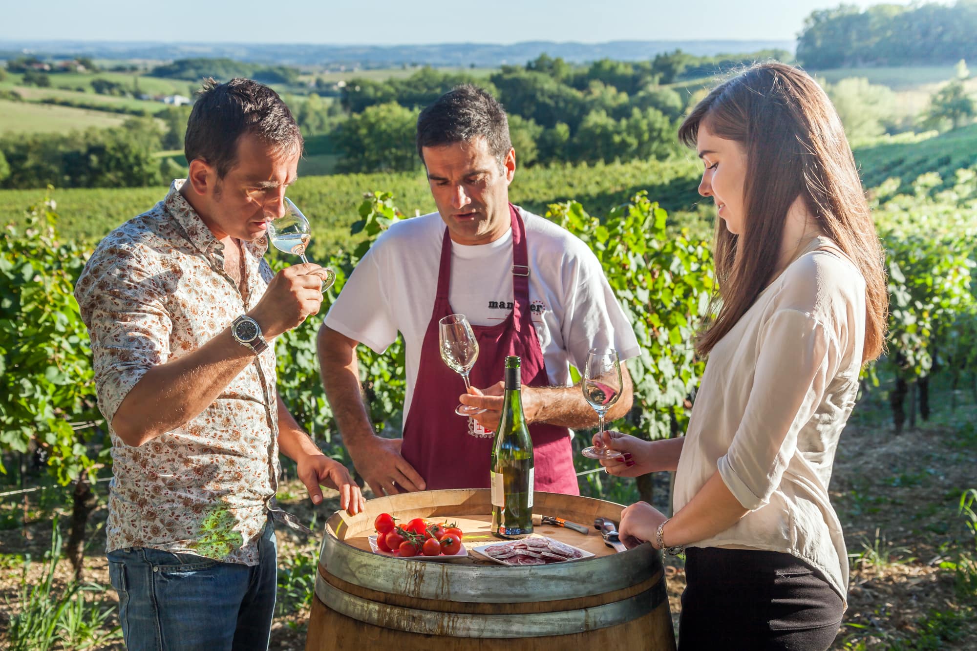 Les domaines viticoles