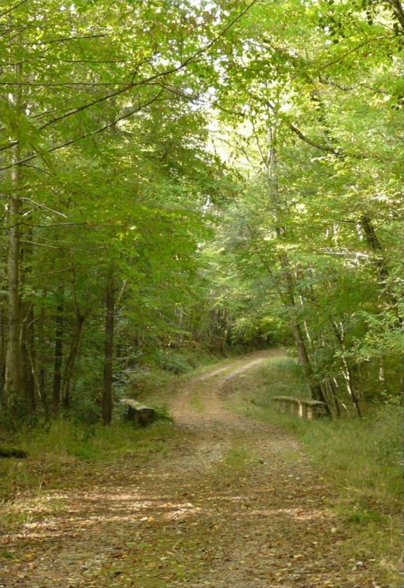 Le sentier de la Baronne