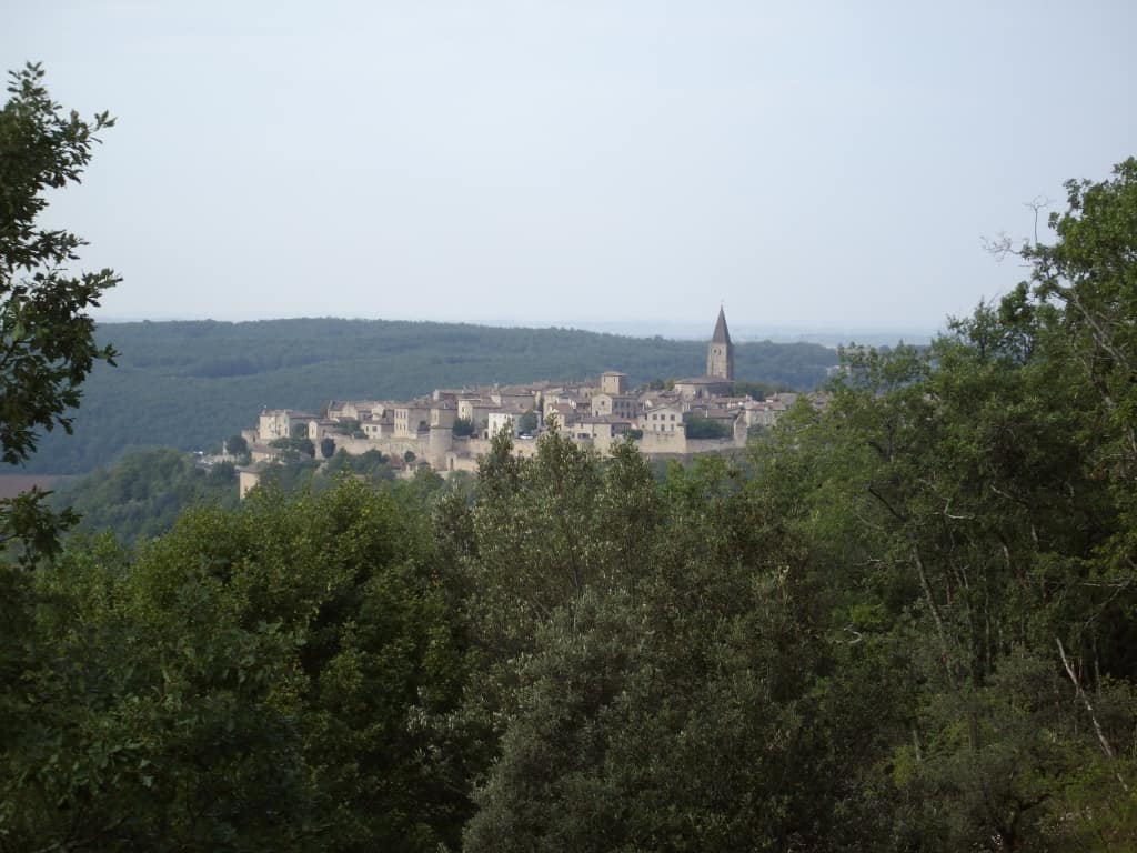 La forêt de Grésigne