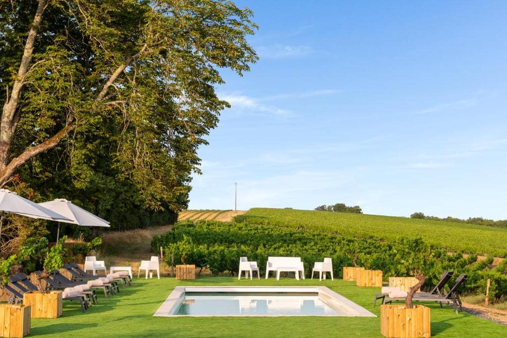 Piscine face aux vignes — © Château de Tauziès