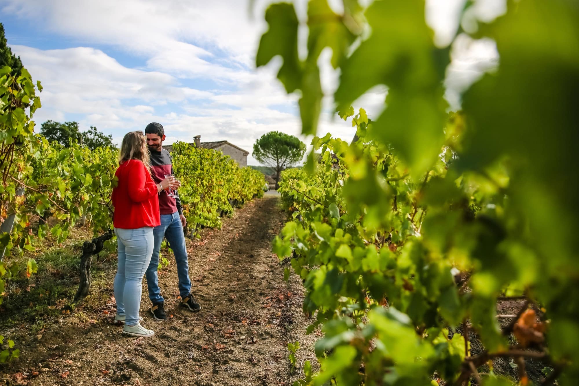 Dans les vignes des Hauts de Broze — © Raynaud photos